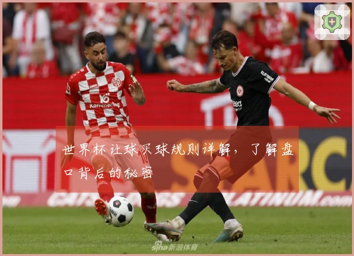 世界杯让球买球规则详解，了解盘口背后的秘密