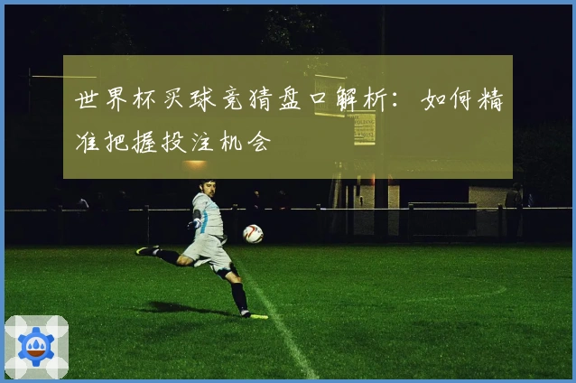世界杯买球竞猜盘口解析：如何精准把握投注机会