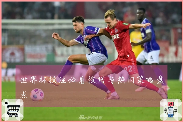 世界杯投注必看技巧与热门策略盘点