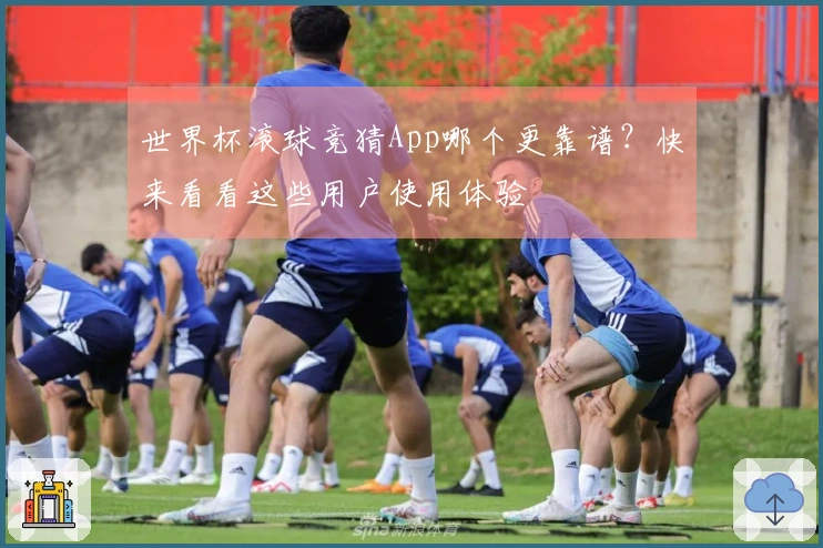世界杯滚球竞猜App哪个更靠谱？快来看看这些用户使用体验