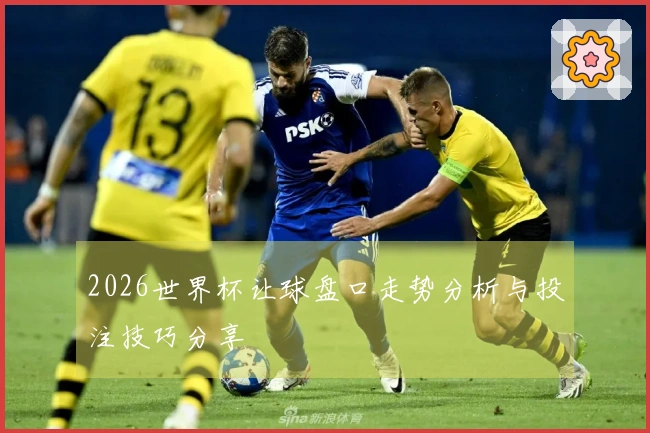 2026世界杯让球盘口走势分析与投注技巧分享