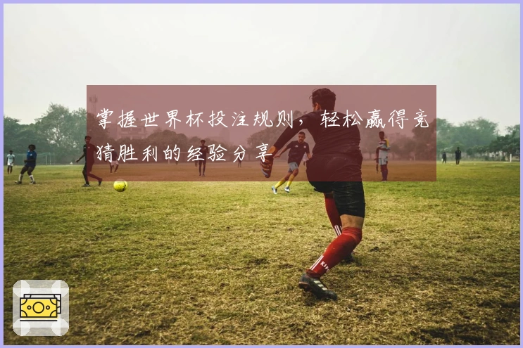掌握世界杯投注规则，轻松赢得竞猜胜利的经验分享