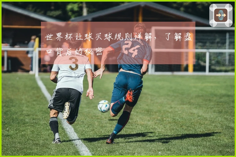 世界杯让球买球规则详解，了解盘口背后的秘密