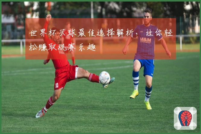世界杯买球最佳选择解析，让你轻松赚取观赛乐趣
