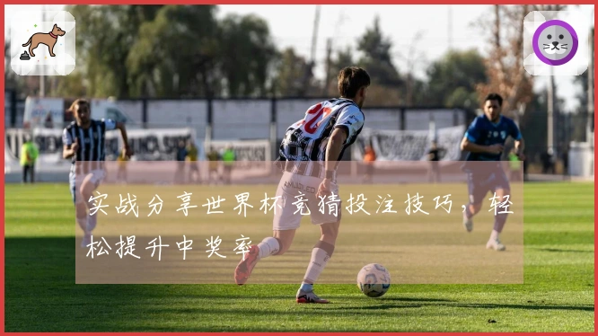实战分享世界杯竞猜投注技巧，轻松提升中奖率