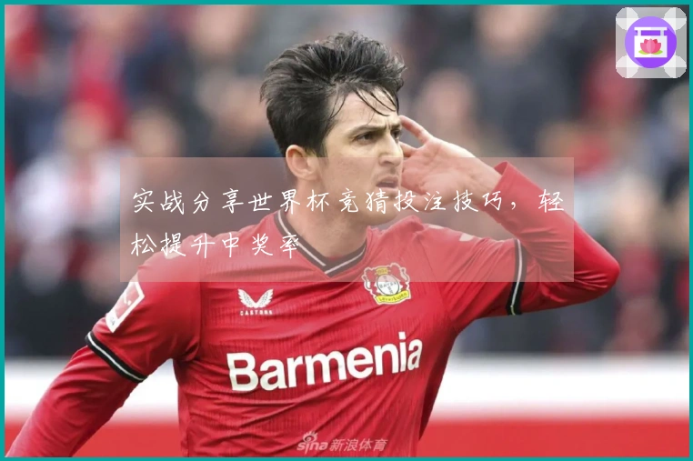 实战分享世界杯竞猜投注技巧，轻松提升中奖率